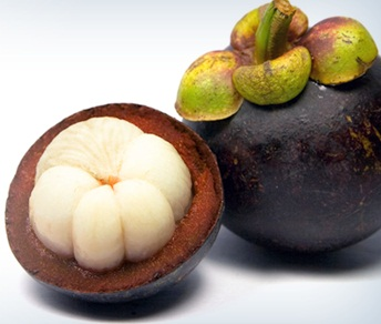 Garcinia Cambogia'