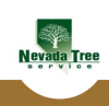 Tree Removal Service by Nevada Tree Service'