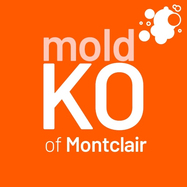 Company Logo For Mold KO of Montclair'