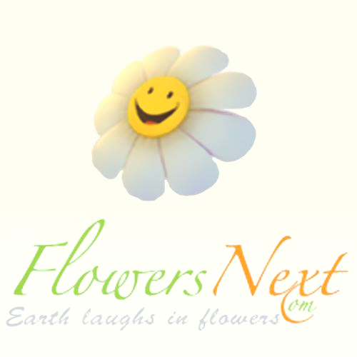 flowersnext Logo