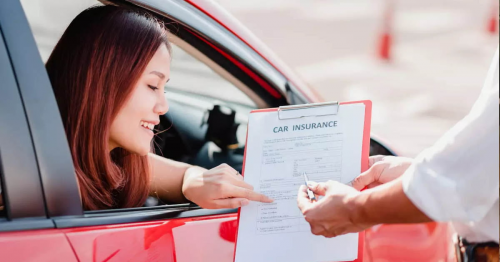 Rental Car Insurance Market'