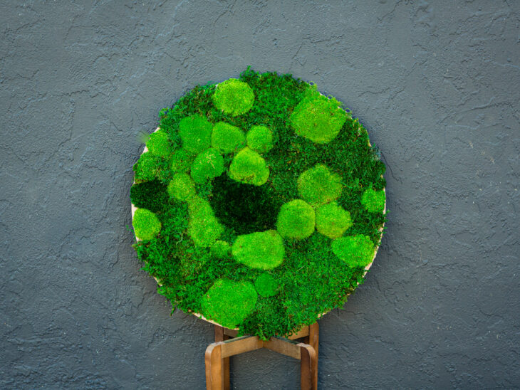 Company Logo For Austin Moss Creations'