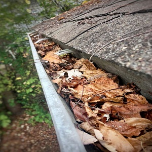 Company Logo For Panther City Gutter Solutions'