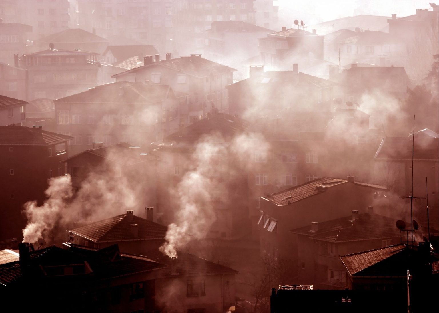 Company Logo For The Pale Smoke Damage'