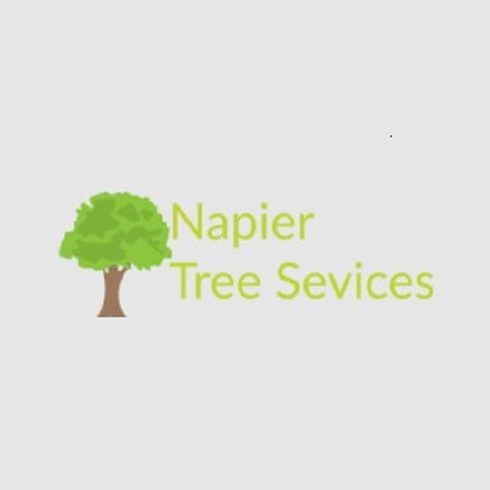 Tree Services Napier