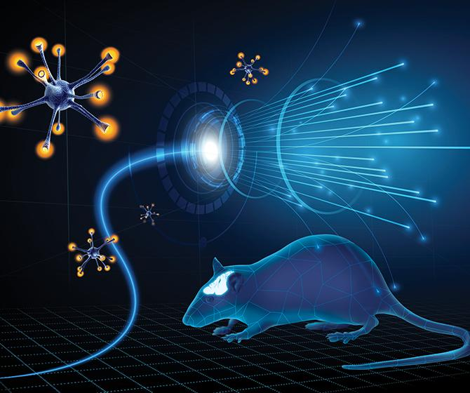 Optogenetics Market