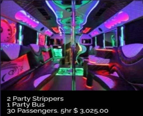 Company Logo For San Diego Bachelor Party Strippers'