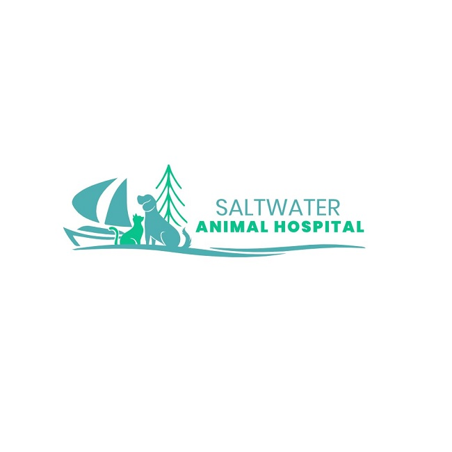 Company Logo For Saltwater Animal Hospital - Des Moines'