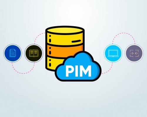 PIM Software Market'