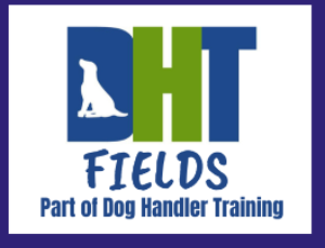 Company Logo For DHT Fields'