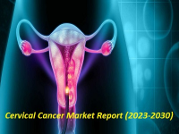 Cervical Cancer Market