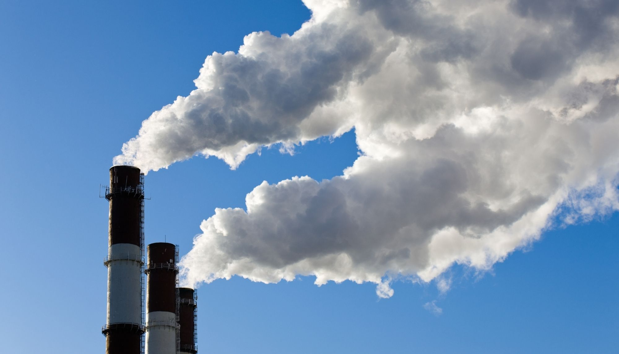 Company Logo For New Bizzle Smoke Damage Experts'