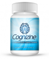 Cognizine Review'