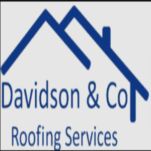 Company Logo For Davidson &amp; Co Roofing LTD'