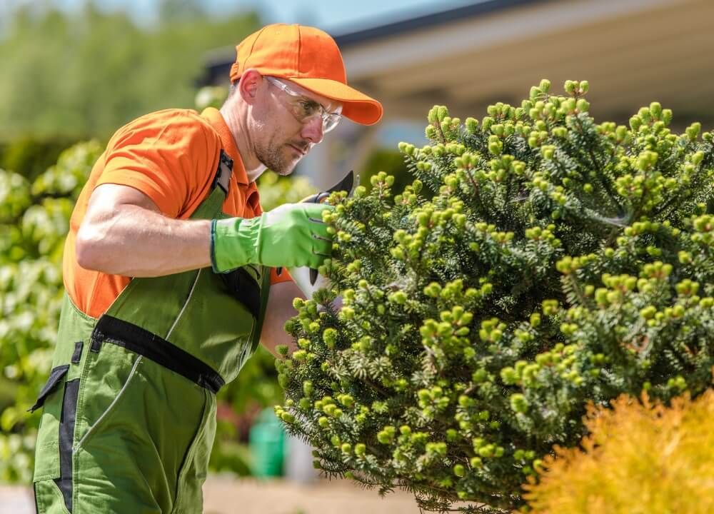 Company Logo For Santa Fe Trail Tree Service El Monte'