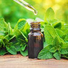 Mint Oils Market'