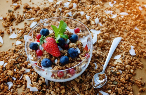 Plant-based Breakfast Cereals Market'