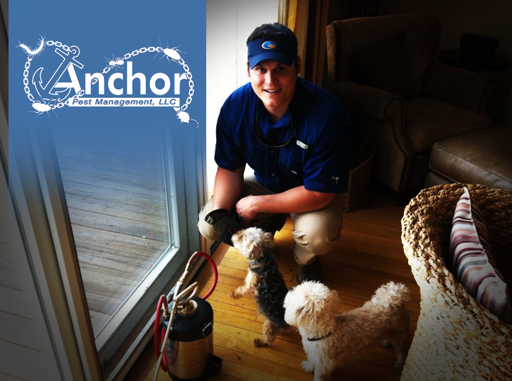 Exterminator Charleston SC'