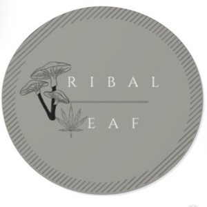 Tribal Leaf Logo