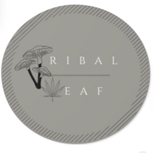 Company Logo For Tribal Leaf'