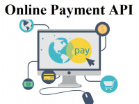 Online Payment API Market