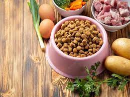 Fresh Pet Food Market'