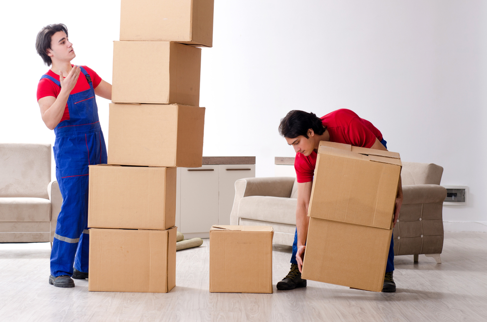 Company Logo For Door to Door Movers'