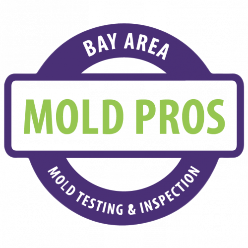 Company Logo For Bay Area Mold Pros'