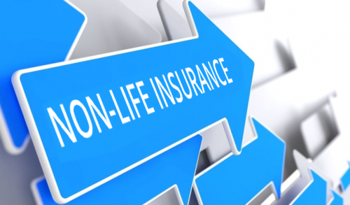 Non-Life Insurance Market'