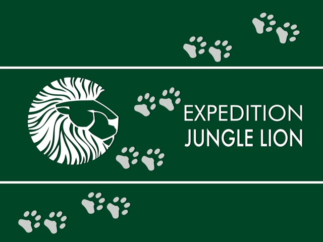 Jungle Lions Film'