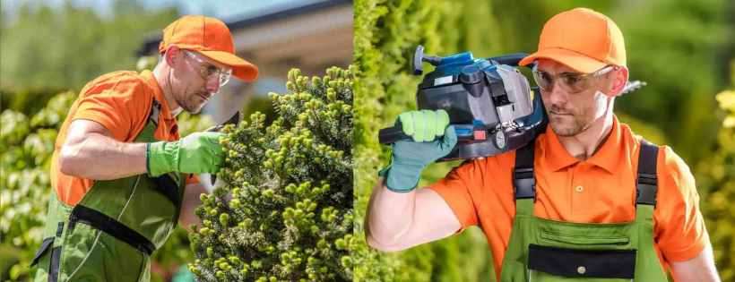 Company Logo For Apex Tree Services'