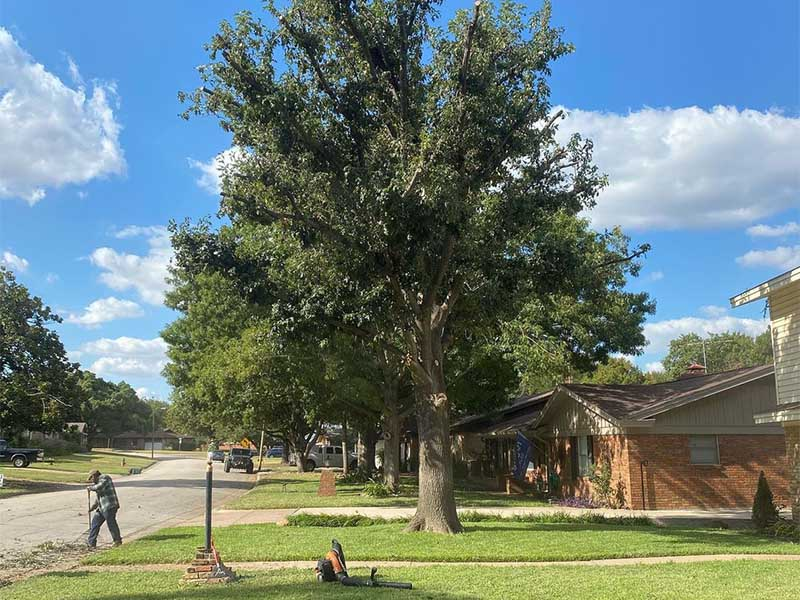 Company Logo For Fort Worth Tree Service'