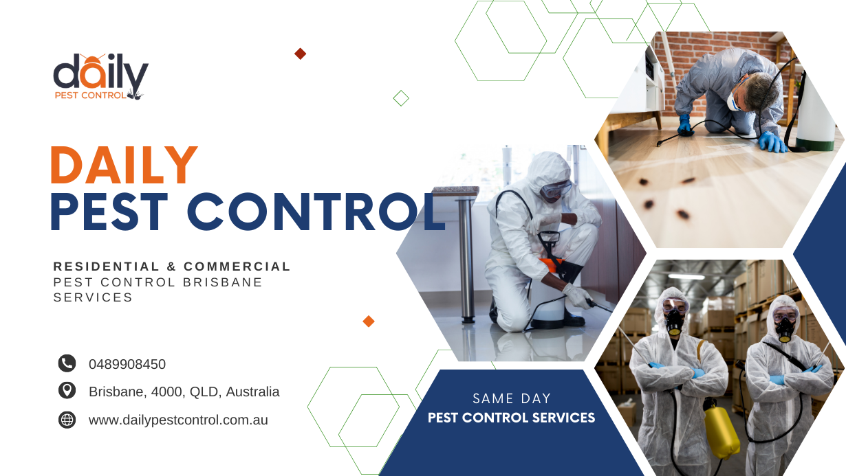Pest Control Brisbane Services'