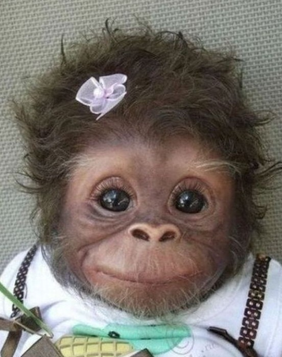 Company Logo For Andrea'