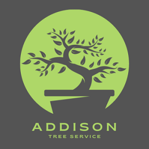 Company Logo For Addison Tree Service'