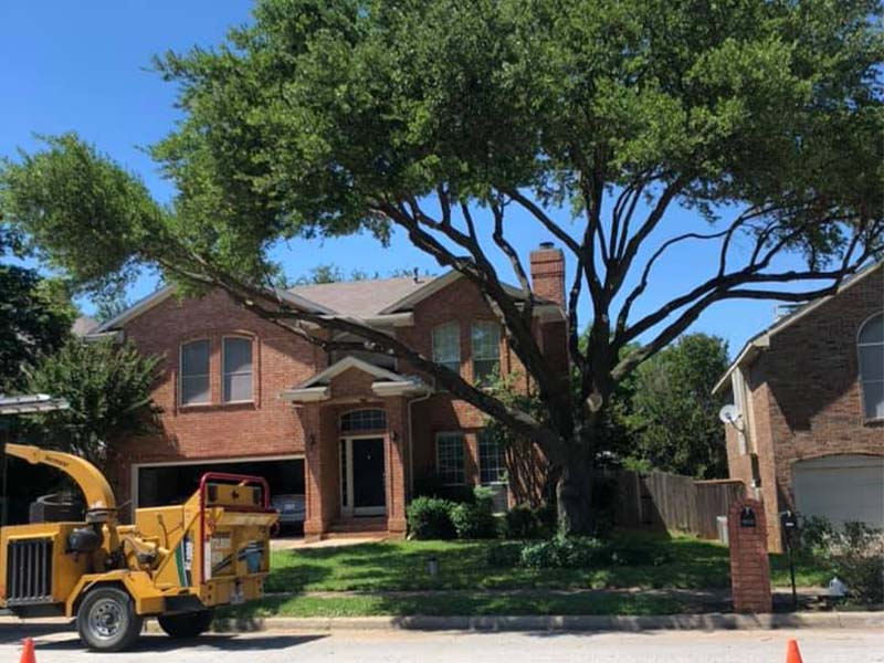 Company Logo For Garland Tree Service'