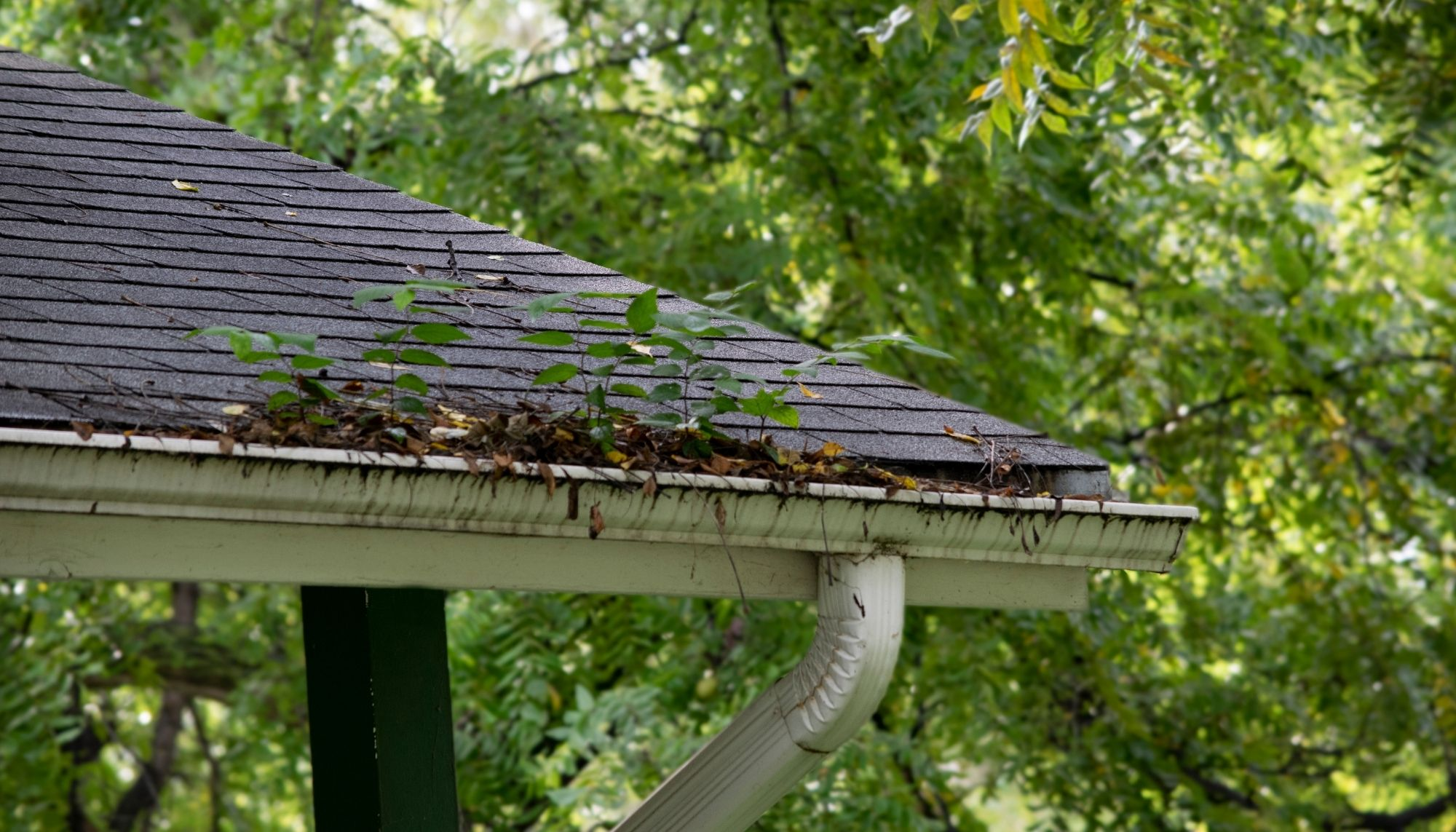 Company Logo For State Capitol Gutter Solutions'