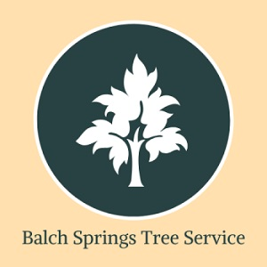 Company Logo For Balch Springs Tree Service'