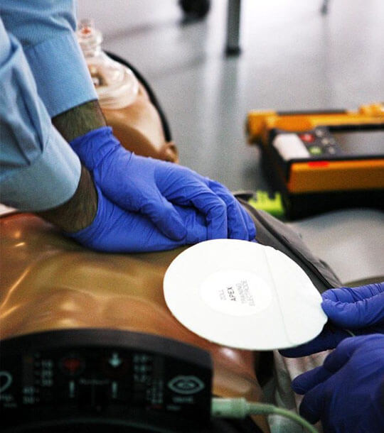 GPS Security Group Inc