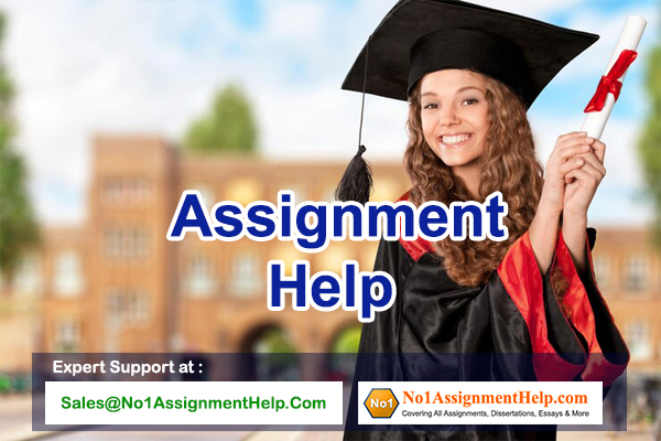 Best University Assignment Help At No1AssignmentHelp.Com