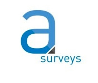 Company Logo For Asurveys Ltd'