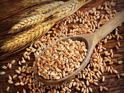 Wheat Proteins(Wheat Gluten) Market