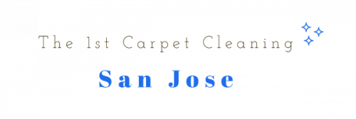 Company Logo For The 1st Carpet Cleaning San Jose'
