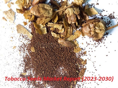 Tobacco Seeds Market'