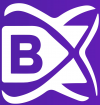 Company Logo For BlockchainX'