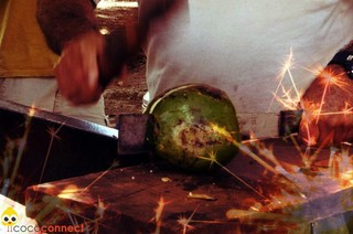 How to Use a Business Listing Directory to Increase the Mark'