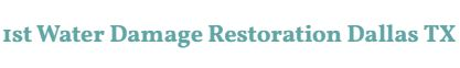 Company Logo For 1st Water Damage Restoration Dallas TX'