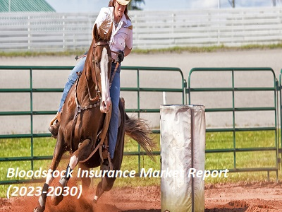 Bloodstock Insurance Market