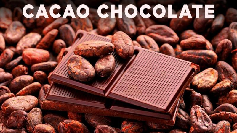 Cocoa &amp; Chocolate Market'