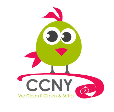 Company Logo For Carpet Cleaning NY'